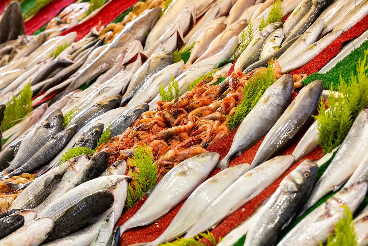 How To Become One Of The Best Seafood Wholesalers in Melbourne & Sydney ...