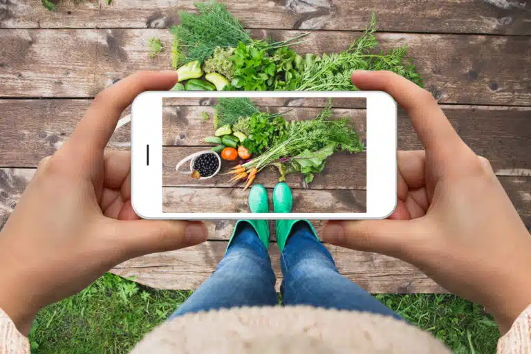 tips for food wholesalers on using Instagram