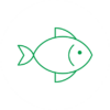 fish green_white